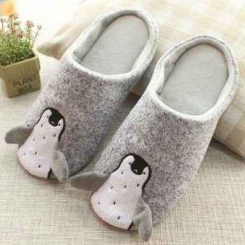 Slippers for Women